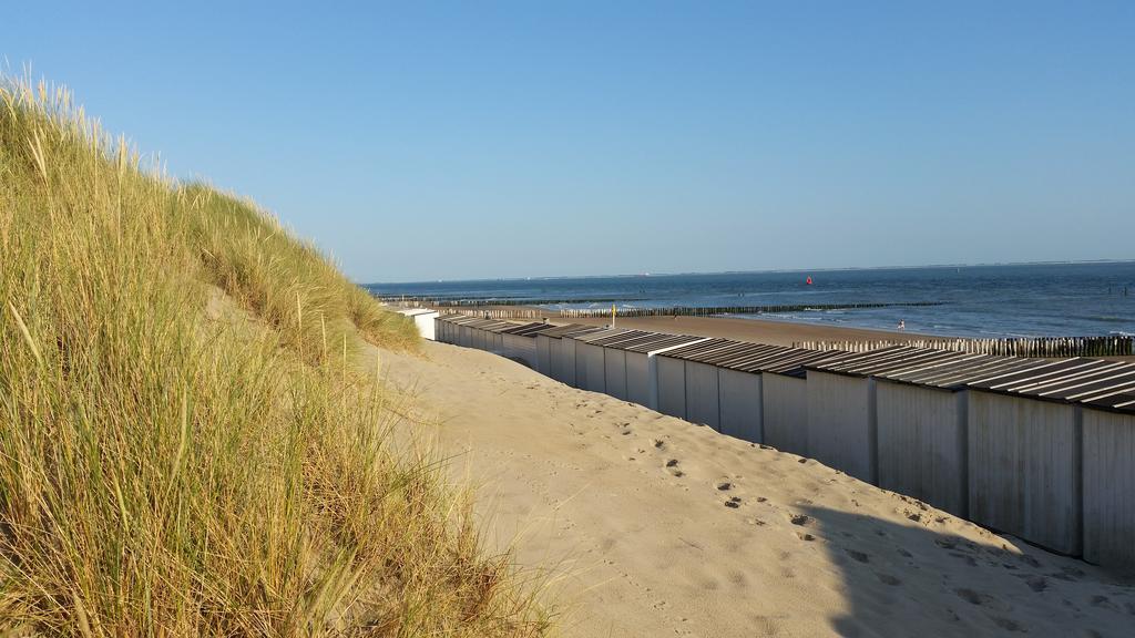 Strandgaper Westkapelle Quarto foto